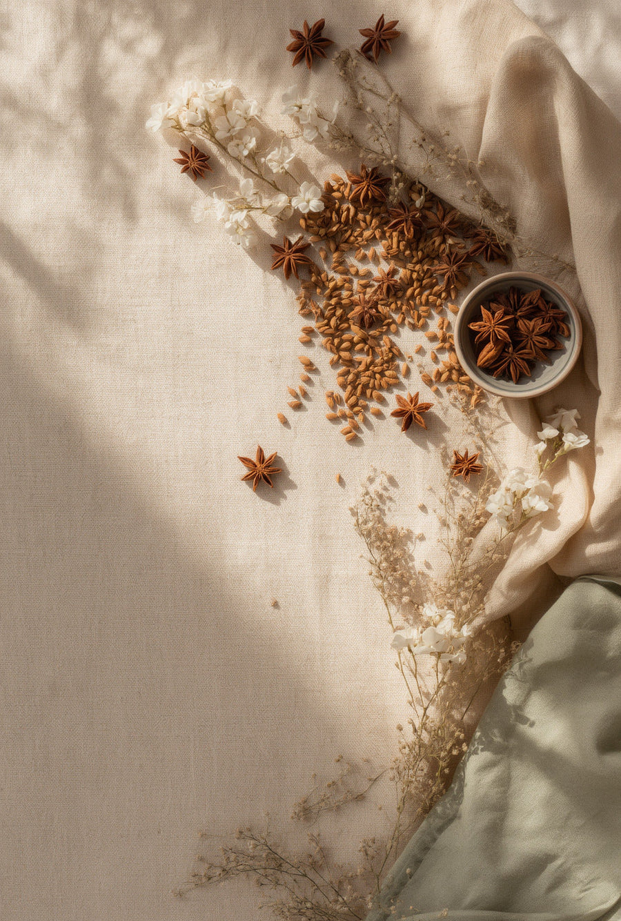 The Health Benefits of Organic Anise