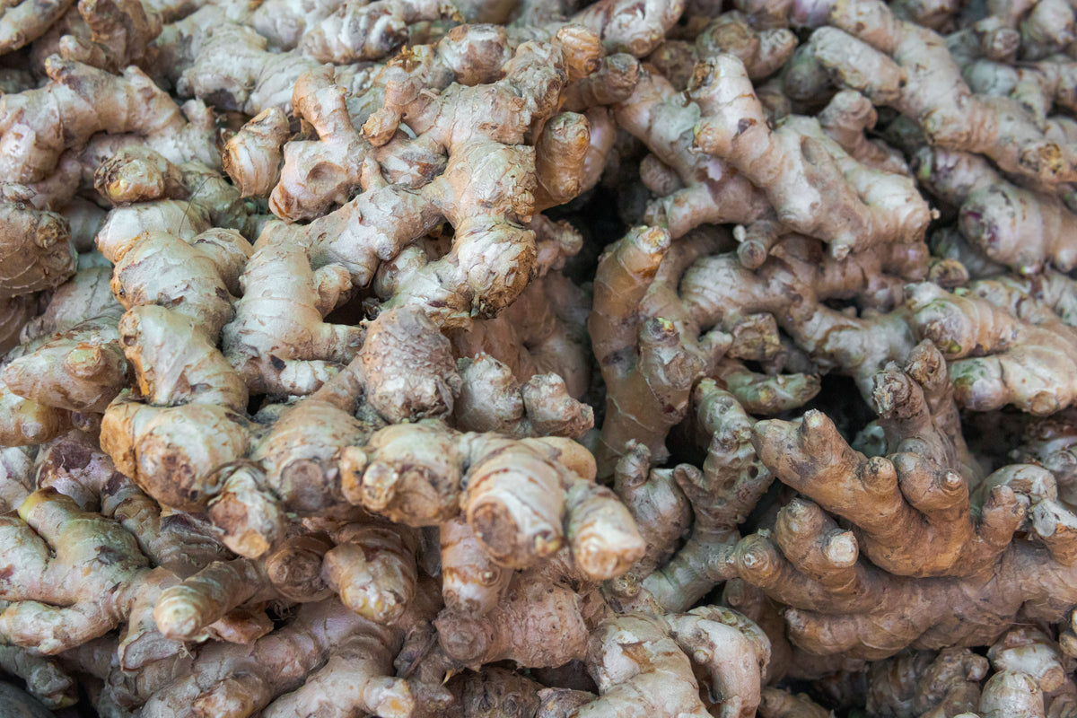Organic Ginger: Origin, Flavor and How to Use It