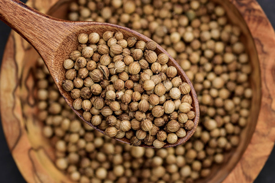 Organic Coriander Seeds: Origin, Flavor and How to Use Them