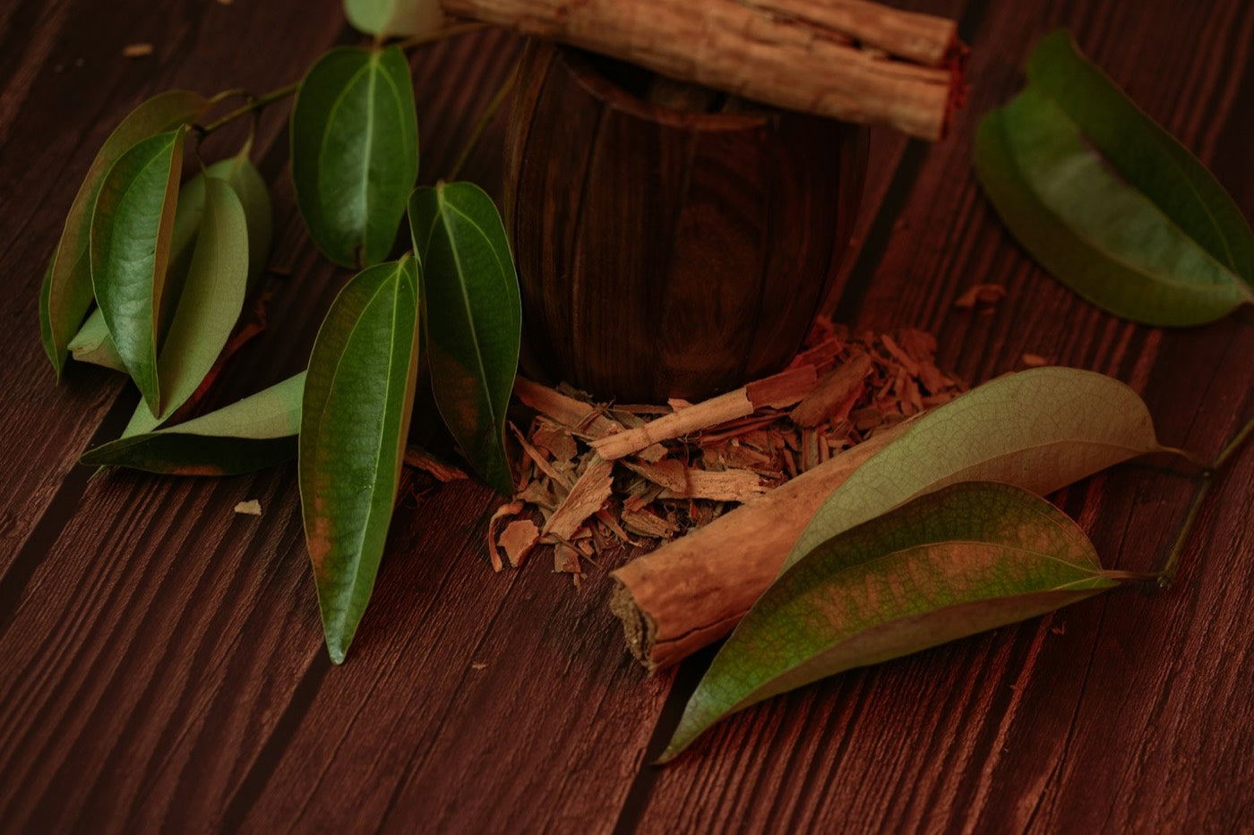 Cinnamon bark with fresh cinnamon leaves