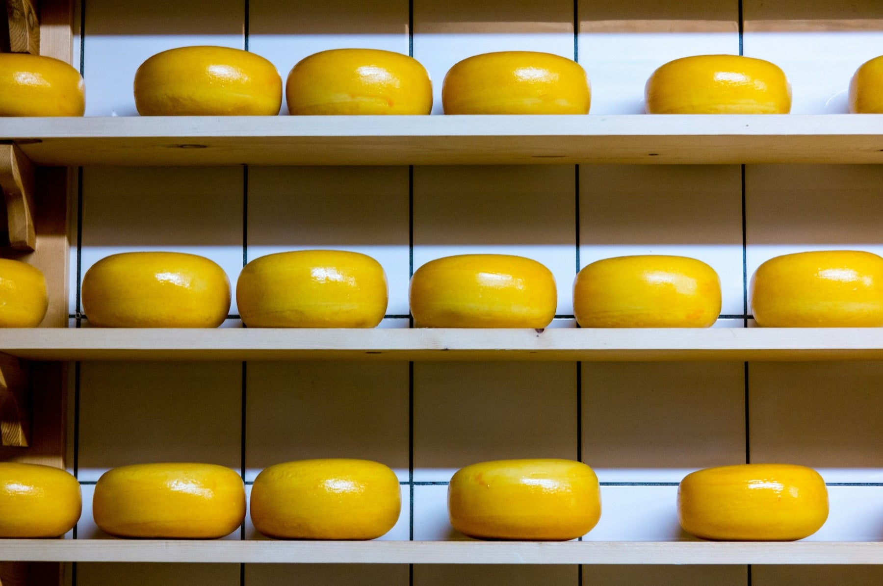 Wheels of yellow cheese on a wooden shelf