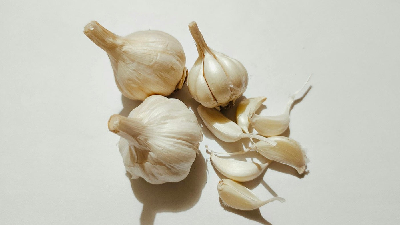 Bulbes d’ail entiers sur une surface blanche